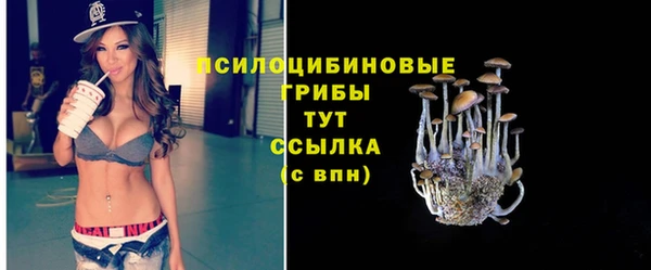 мяу мяу мука Алексин