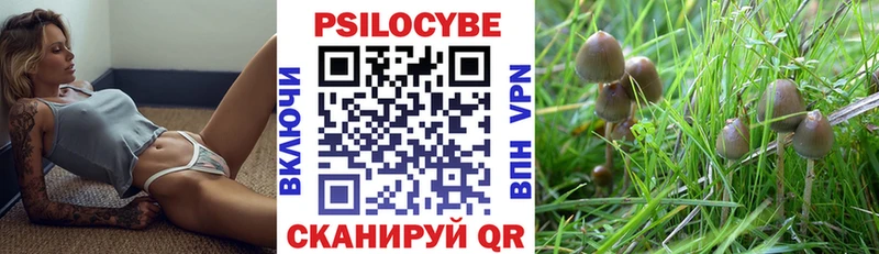 магазин    Яхрома  площадка какой сайт  Псилоцибиновые грибы мухоморы  мега ONION 